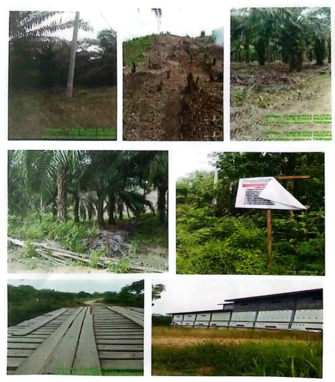 
Kondisi TN Rawa Aopa 
