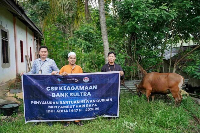 
Bank Sultra Salurkan 23 Sapi Kurban, CSR Menyentuh 17 Kabupaten/Kota di Sultra