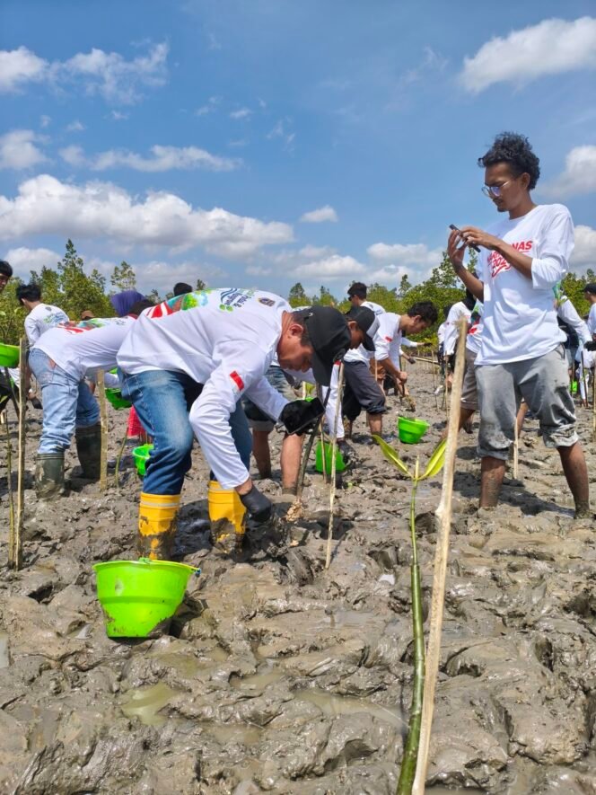 
Harhubnas ke-55, KUPP Lapuko Bersihkan Pesisir Moramo, Mangrove Ditanam